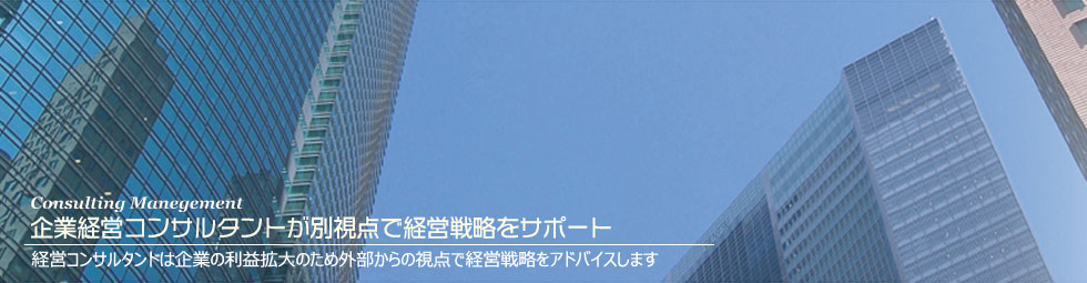 経営コンサルタントが企業の問題をサポート